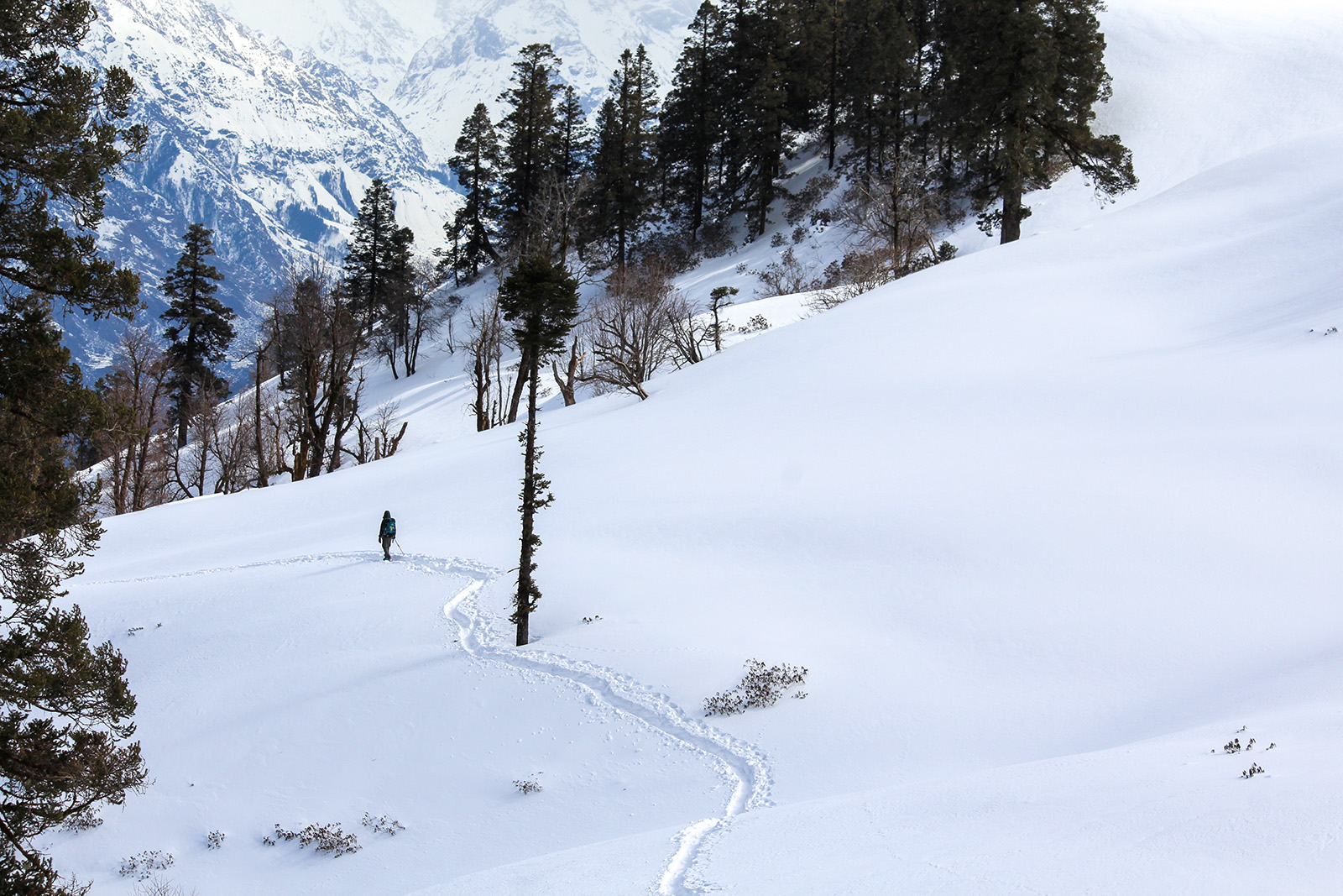 Trekking shop in january